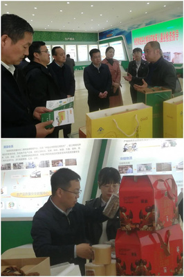 省農業農村廳赴陳倉區慕儀鎮調研 聚焦農作物產業發展，助推農業現代化升級